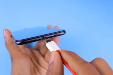 Казино Мобайл Уинс Мобилно приложение